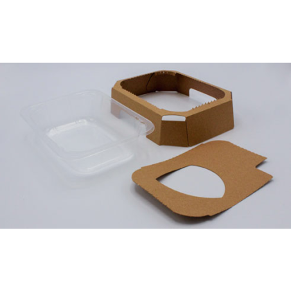 ANL Packaging Turtlebox hybrid packaging ANL Packaging Turtlebox hybrid packaging